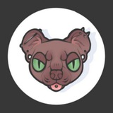 Fossa draws —