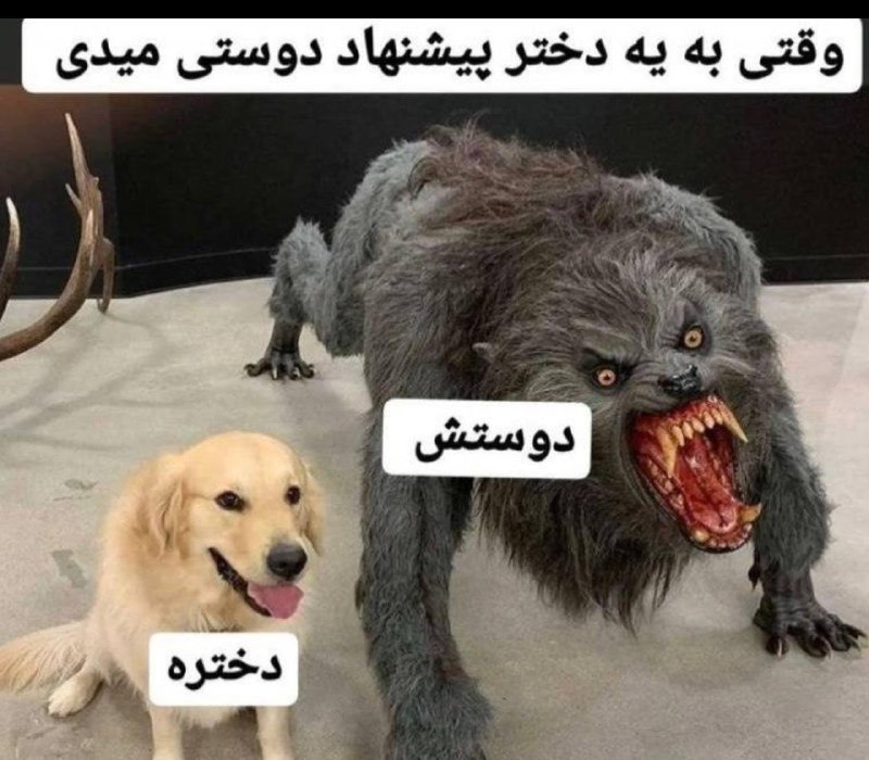 ایستگاە خندە: معمولا هم بدهیکل و بد ریختهقبول دارین؟😕