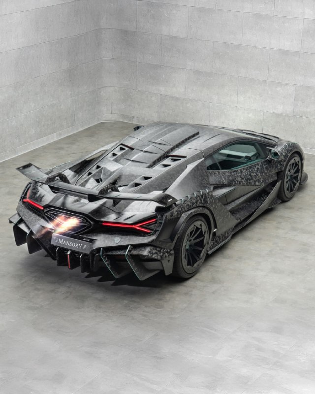 В ателье Mansory решили выпустить Lamborghini, полностью покрытую карбоном. 4