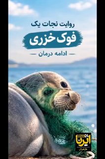 Saving the Caspian seal from illegal fishing nets