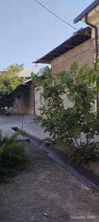 Shofayizda o'z uyimni sotaman