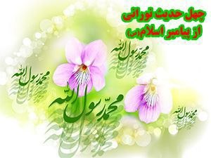 تابان تربت | اخبار تربتحیدریه: ♦️ پیامبر مکرم اسلام «صلیالله علیه و آله و سلم»الْعِبَادَةُ سَبْعُونَ جُزْءً أَفْضَلُهَا جُزْءً طَلَبُ الْحَلَال عبادت