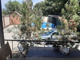 Дом-дача. 5 соток. Все условия. Бостанлык.