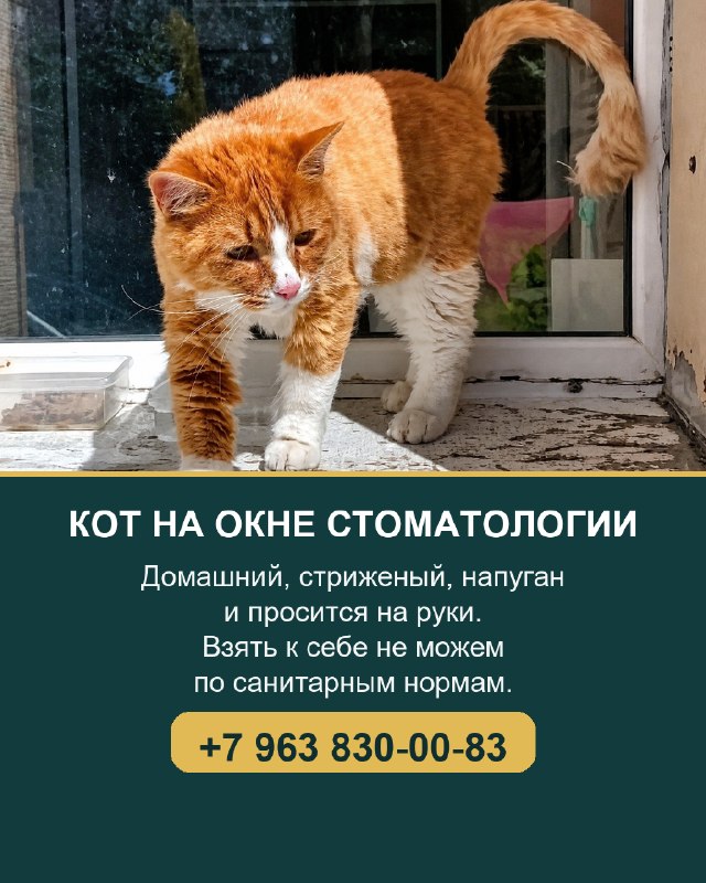 Уважаемые пациенты! Простите, что не по теме, но на...