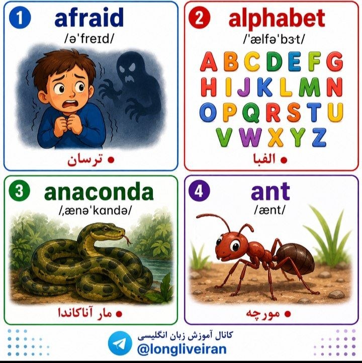 آموزش زبان انگلیسی: Page... 5🔷afraid /ə'freɪd/🔴ترسان🔷alphabet /'ælfə'bɜt/🔴الفبا🔷anaconda/,ænə'kɑndə/🔴مار آناکاندا🔷ant/'ænt/🔴مورچه. #تلفظ @lo