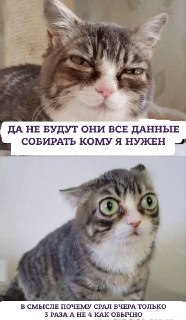 Минцифры обновило требования к системе оперативно-разыскных мероприятий (СОРМ) и расширило перечень данных, которые операторы связи обязаны передавать силовикам. Об этом сообщает «Коммерсант», ознакомившийся с приказом ведомства.Согласно новым правилам, по