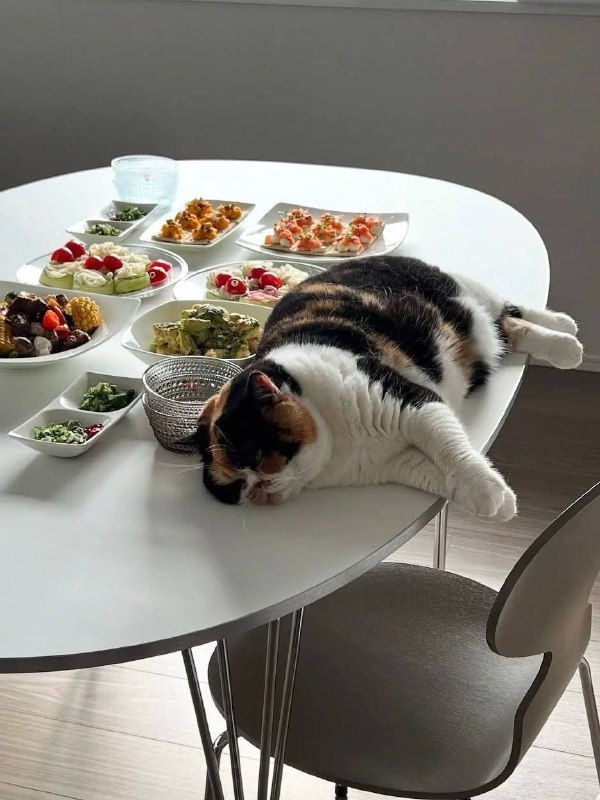 Питомцы в интерьере для вашего хорошего настроения Please open Telegram to view this post VIEW IN TELEGRAM - изображение 2 - telegram, view, питомцы