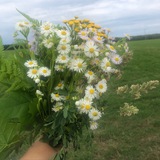 Радовать и радоваться 💕