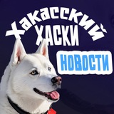 Новости | Хакасский хаски