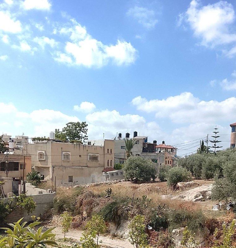 רשת חדשות ירושלים