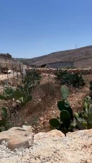 قوات الاحتلال تجرف أراضي في عراق بورين جنوب نابلس