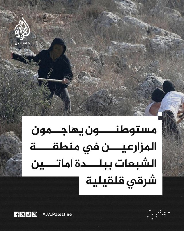 מתנחלים תוקפים חקלאים באזור אל-שבת בעיירה עמאטין, מזרחית לקלקיליה.
