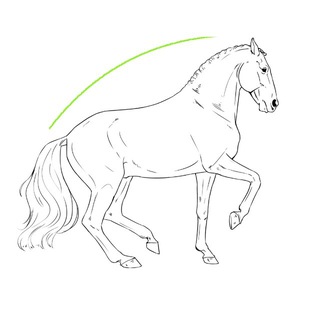 Форум «Биомеханика лошади» Telegram Group Link