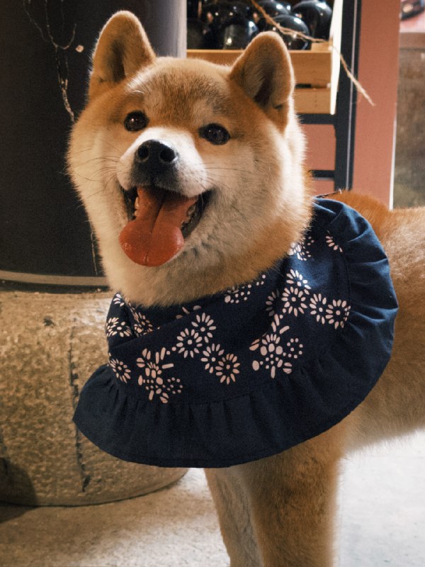 进行一个迎财神！进行一个迎财神！