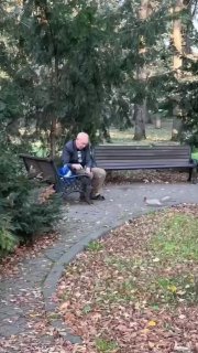 חמוד היום בקרסנודר, סבא מגיע לגן הבוטני, פוצח אגוזים לסנאים ומאכיל אותם.