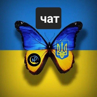 Виплати ВПО та запитання - чат