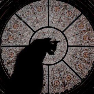 Telegram profile photo for Расклады таро🪐