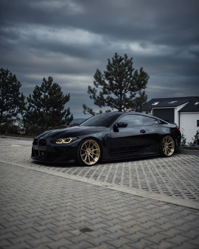 https://t.me/bmw_mpower_club