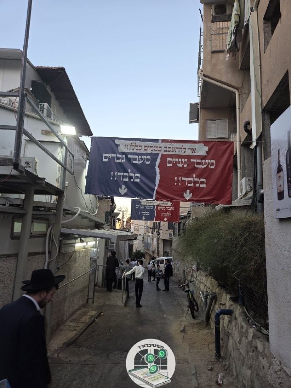 אלי הירשמן