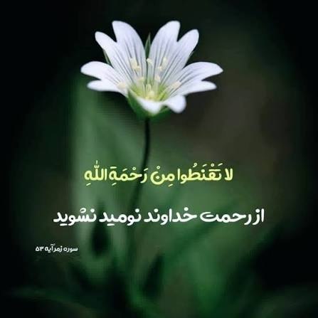 مشاوره و تربیت کودک و نوجوان: 🌱🌷گفتم: در دلم امید نیست ؟گفت: لا تقنطوا من رحمة الله ❗️هرگز از رحمتم ناامید نباش (زمر ۵۳ )🌱🌷https://t.me/joinchat/AAAAA