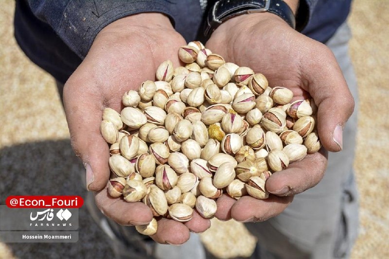 اقتصاد فوری 📈: تزریق دلاری پسته به اقتصاد ایران🔹آمار یورواستات نشان می‌دهد، ۳۴ میلیون یورو پستۀ ایرانی فقط نیمۀ نخست سال میلادی امسال، 