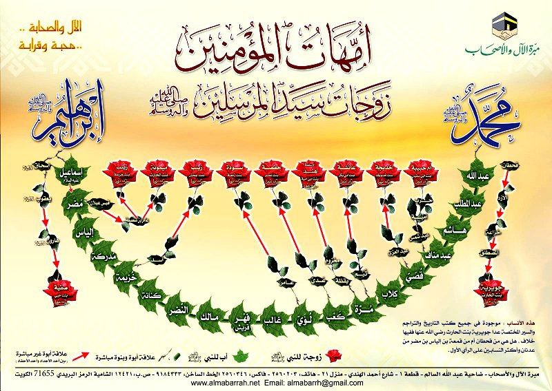 𝗪𝗼𝗺𝗲𝗻'𝘀 𝗕𝗲𝗻𝗲𝗳𝗶𝘁𝘀 (152)