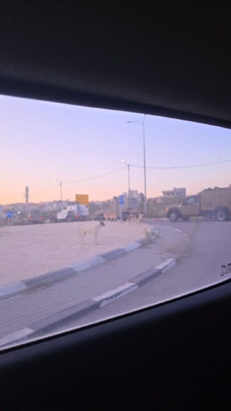 מקורות מקומיים: כוחות הכיבוש מסתערים על מחנה אל-ערוב, מצפון לחברון.