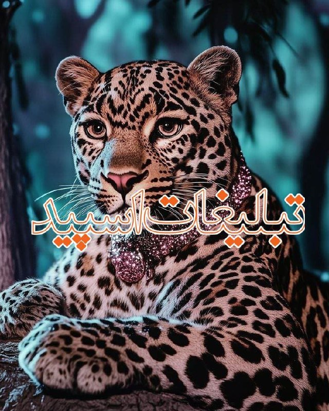 لینکدونی گروه چت تبریز: ❶﹚ نام : آلکاتراز❷﹚ نو؏ تبلیغات : #telegram❸﹚ توضیحات :🔗 اینجا آلکاتراز 🔗 فقط با رفتارت اینجا کسیو ناراحت نکن اینجا آزاد