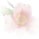 ︎ ︎ ︎ ︎ ︎ ︎ ︎ ︎
