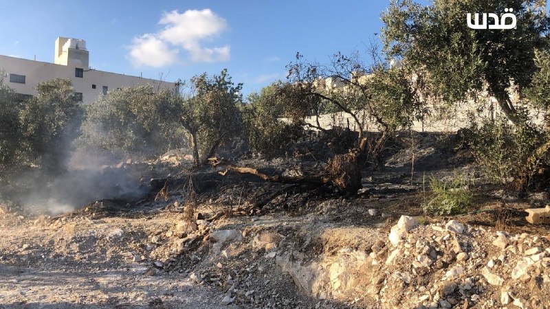 רשת חדשות ירושלים