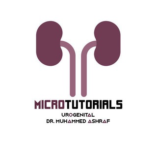 Microbiology 3rd year Dr/ M.Ashraf