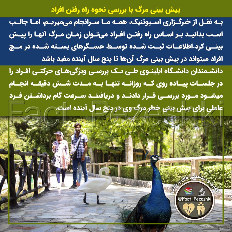 ❣ ترفند│Tarfand ❣: 🚶‍♂پیش بینی مرگ با بررسی نحوه راه رفتن افراد🔺به نقل از خبرگزاری اسپوتنیک، همه ما سرانجام می‌میریم، اما جالب است بدانید ک