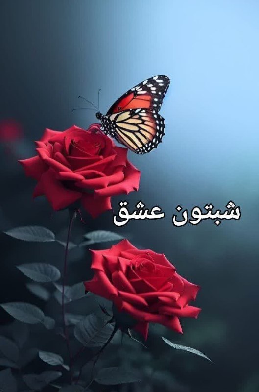 ❤️فال قهوه وتاروت مهسا❤️: 🌟شبتون بخیر و سراسر آرامش🌸در آغوش پر از مهر خدا باشیدشبتون بهشت دوستان عزیز 🌙✨@fall_mahsa