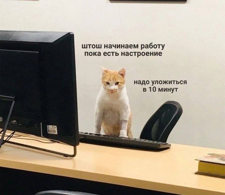 Неделя в самом разгаре, а это значит пора выбирать своего тотемного котика Какой сегодня вы? Я В ДОМИКЕ Please open Telegram to view this post VIEW... - изображение 4 - telegram, view, неделя