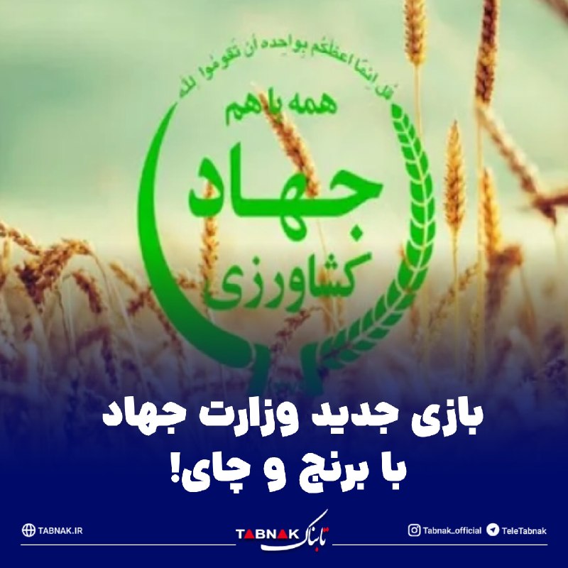 Tabnak | تابناک: 🔺بازی جدید وزارت جهاد با برنج و چای! / ترفند جدید واردکنندگان برای دور زدن سقف‌های دولتی🔹آیا برنج و چایی که می‌خرید واقع