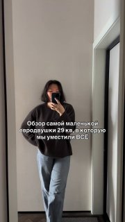 Обзор маленькой евродвушки площадью 29 м Автор проекта Эржена Устинова. - изображение 1 - обзор, маленькой, евродвушки
