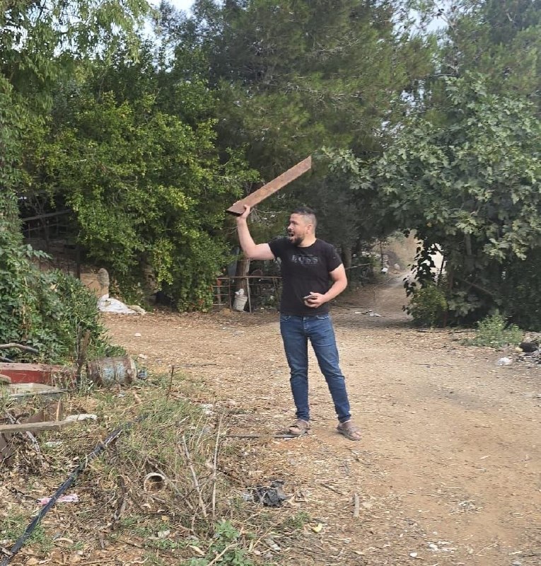 ניצן שפירא