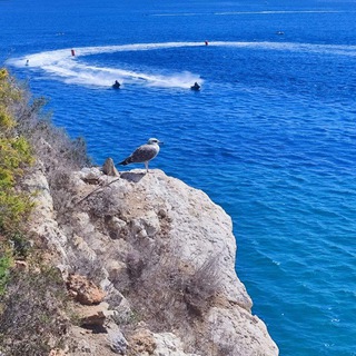 Я тут, в Испании Telegram Group Link