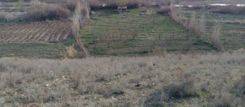 🍁کانال عمومی شهیدآباد🌹: باسلام فروش زمین کشاورزی نزدیک به 2400متر - متری 150هزارمناسب برای کاشت موسیر خروجی آوج سمت قانطور معاوضه با ماشین هم دا