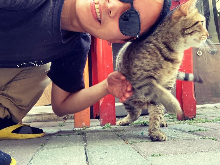 2022歐洲單車日記-被貓統治的國度