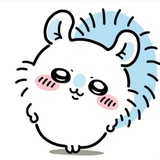 ㅤᵕ̈ⲇ𖦹ⲙ ᥒᥴυⲭ𖦹ᥒᥲⲧⲕυ ᥲύᥴυ𓂃۶ৎ