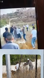 דת זו היא דת של תהילה