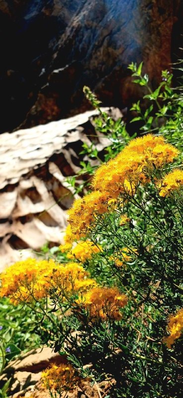 شارهکهم دیواندهره(کانال دیواندره): 📆 ئەمڕۆ سـێشـەمـمـە🌾 27ی گەلاوێژ 2726ی کوردی🌾 27مرداد 1405ی هەتاوی🌾 18ی اوت 2026ی زایینی━━━━━━━━━━━━⇜ لە خەڵکەوە بۆ خەڵ