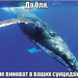 ⲙᥴ𐔤t ᥴ𐔥 ᥊ ᦔᥲιᥣ𐔤