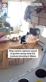 🇺🇸 A man stabbed a worker at Valley Fair Mall in #Utah, but was knocked out by fellow shoppers in short order before police arrived on scene.The stabbing happened just before 3 p.m. on July 13 at a kiosk inside the mall. Police said a male suspect approached the employee, and after a brief interaction, pulled out a knife and began stabbing the victim multiple times. No fatality reported. Bystanders' quick intervention likely helped.Follow us -> LiveLeak
