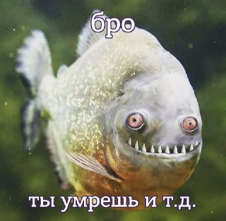На пляже в Аргентине пираньи атаковали туристов, укусив 46 человек. Один человек потерял палец.Как пишет издание The Sun, на берегу реки Парана в Аргентине было зафиксировано массовое нападение пираний. Большинство отдыхающих получили серьезные травмы, а о