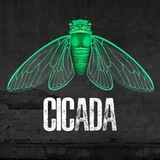 Cicada Group