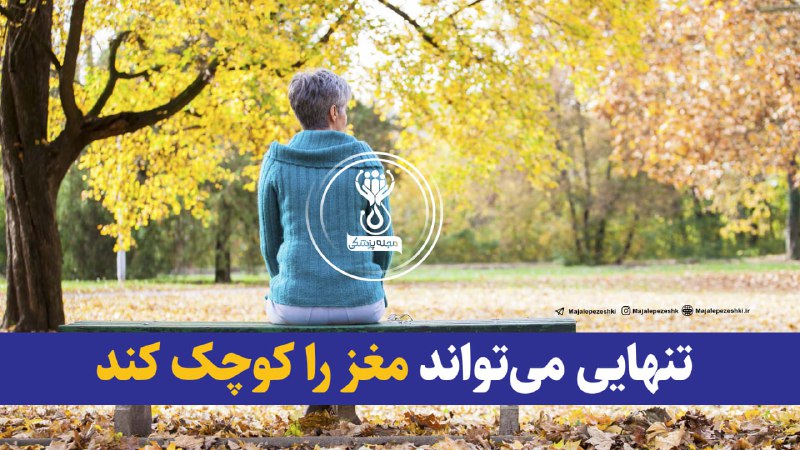 ساختمان پزشکان: هشدار دانشمندان: تنهایی میتواند مغز را کوچک کند◽️محققان میگویند تنهایی و انزوای اجتماعی صرفاً یک حس عاطفی نیستند، بلک
