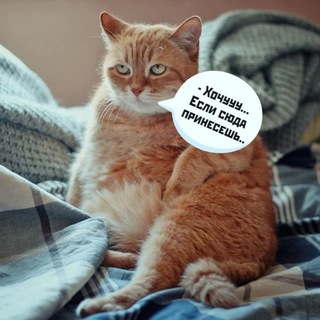 Telegram profile photo for Пушистые Радости