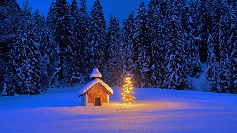 Traditions that travelSnowy chapel with Christmas tree in the Bavarian Alps, Germany (© mauritius images GmbH/Alamy)